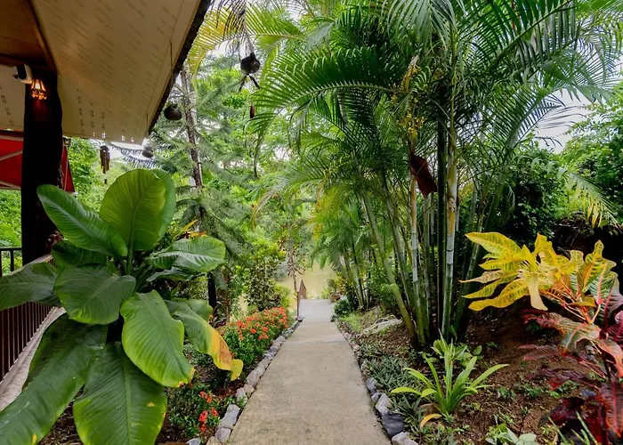 Khao Sok River Home Resort
